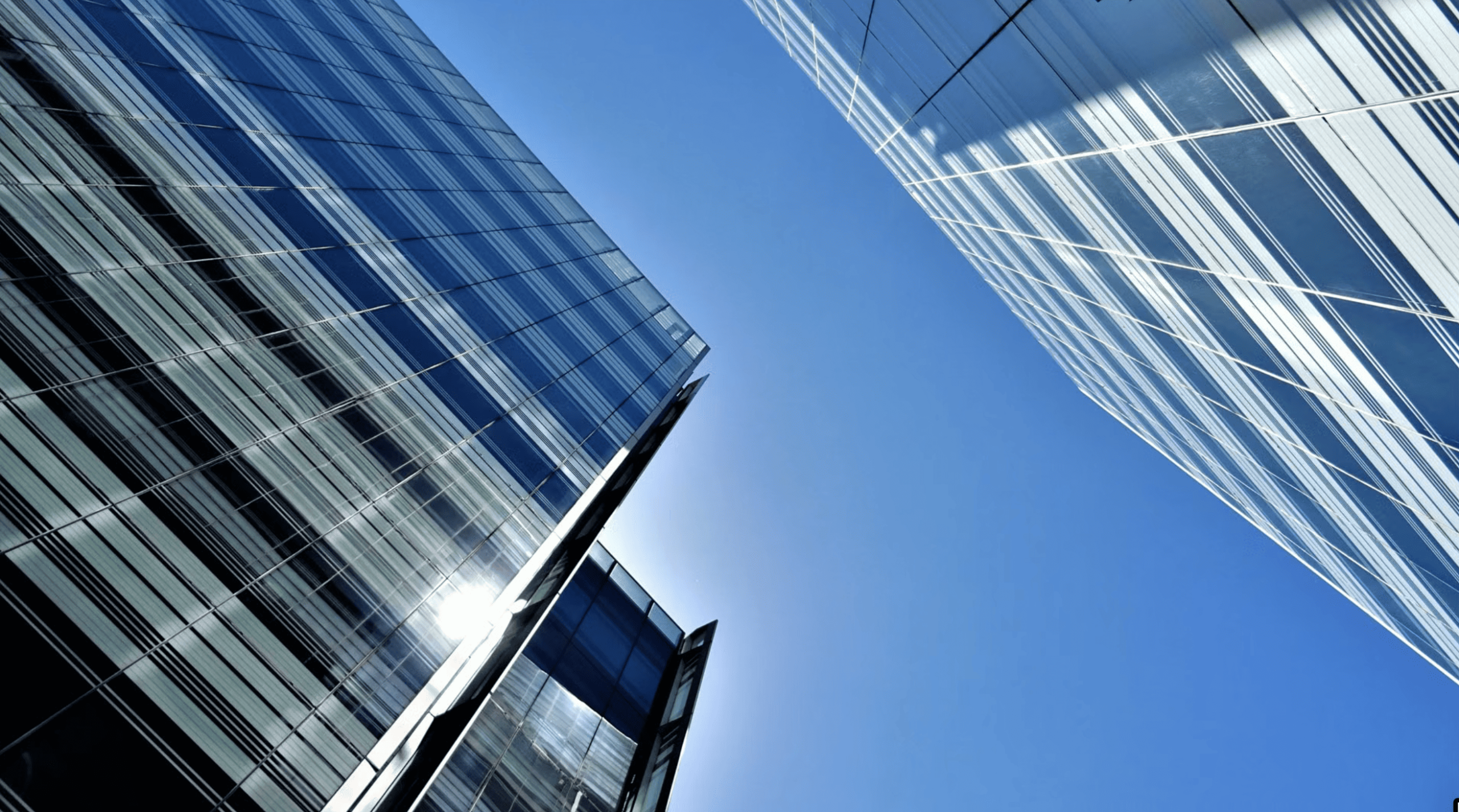 Zepth vs Revizto: BIM Collaboration or PMIS?